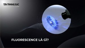 Fluorescence là gì